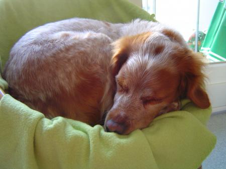 ma cherie